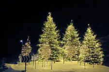 12-16aa.webp