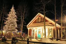12-16dd.webp
