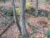 117_1343.webp