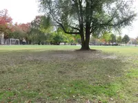 IMG_2077.webp IMG_2077.webp