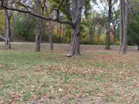 IMG_2078.webp IMG_2078.webp