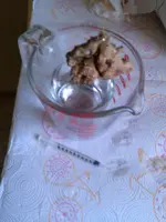 CAM00666.webp CAM00666.webp