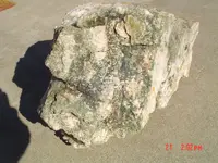 DSC04178.webp