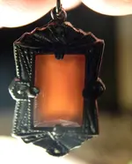 DSCN1198.webp