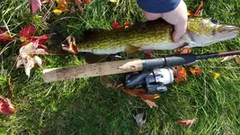 20151020_100736 (Copy).webp