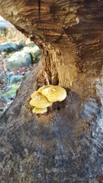 20151019_094635 (Copy).webp