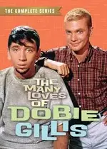 dobie gillis.webp dobie gillis.webp