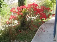 small6156.webp