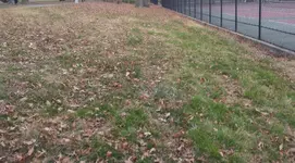 20151208_160220hill.webp