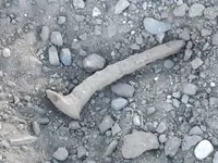 DSCF1778.webp