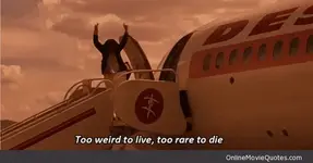 Dr_-Gonzo-from-Fear-and-Loathing.webp