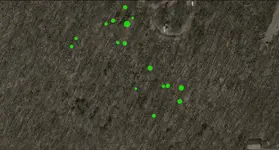 middle L-ShadowLine.webp
