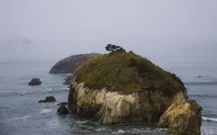 Fall 2015 Trip-10-15-14181.webp