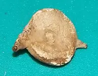 Seal51.webp