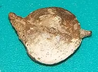 Seal52.webp