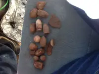 image4.webp
