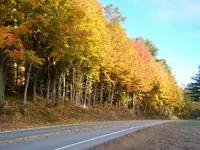 022.webp
