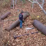 IMG_20151111_142442.webp