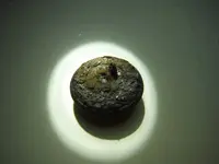 DSCF0548.webp