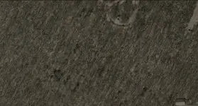 middle L.webp