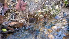 WP_20151121_002.webp