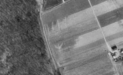 fields one.webp fields one.webp
