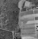 fields two.webp
