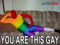 you_are_this_gay.jpg_1286416143.webp