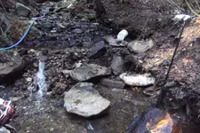 DSCF1236.webp