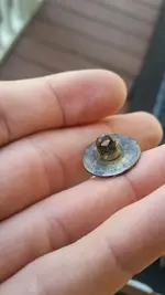 button back.webp