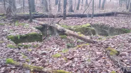 20151128_140907.webp