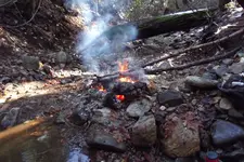 DSCF1239.webp