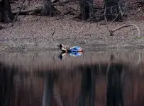 007.webp