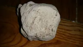 1445540605712.webp