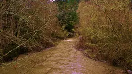DSCN6555.webp