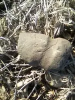 image2 (2).webp