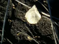 image1 (7).webp