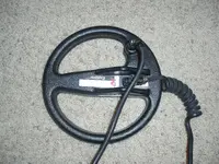 PC090024.webp