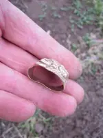 gold ring 003.webp