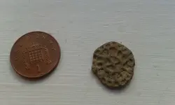 unkown short cross token.webp