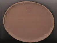 FDR Paper back 001.webp