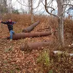 IMG_20151111_142909.webp