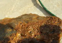 vein rock outside.webp