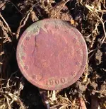 1900_Nickel.webp