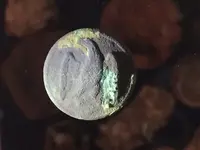 Confederate Staff Officer Button.webp