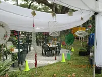 IMG_0546.webp