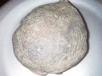 20151022_193836.webp