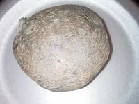 20151022_193828.webp
