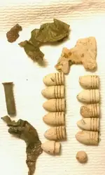 14452174066684.webp
