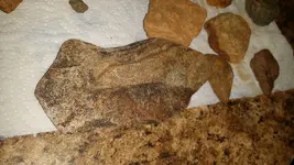 20151104_220038.webp